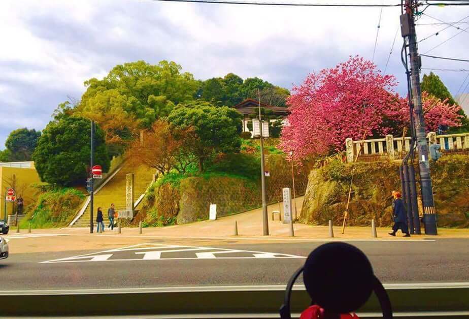 愛媛スタジオの写真9