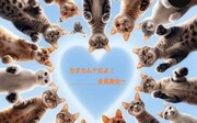 カタカムナだよ〜全員集合！